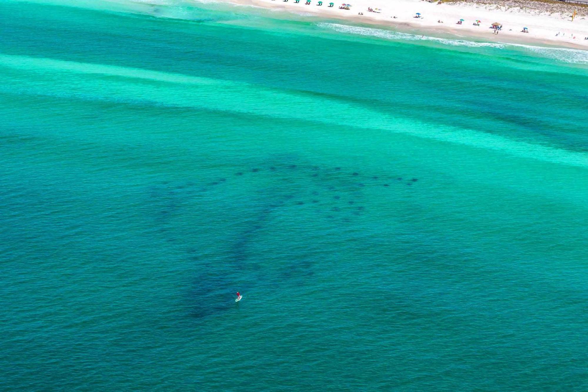 Beach Resort 406 Destin Exteriér fotografie